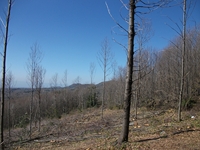 nte Cicirello-10042012 024